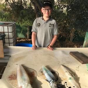 Meet your Posher, Bailey